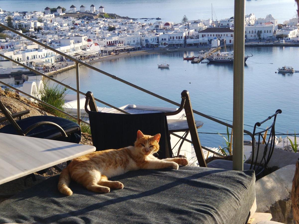 Anemones Sea View Apartment Mykonos Town Luaran gambar